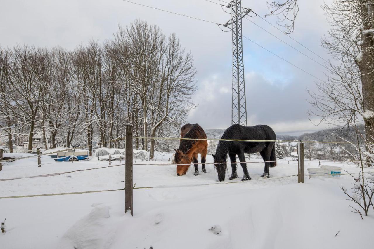 Venkovske Apartmany Tiche Pastviny Kamenicky Senov Exterior foto