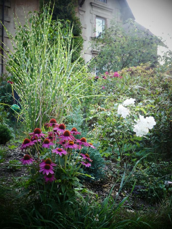 Venkovske Apartmany Tiche Pastviny Kamenicky Senov Exterior foto